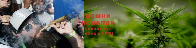 наркошоп  Гусь-Хрустальный  Канабис SATIVA & INDICA 